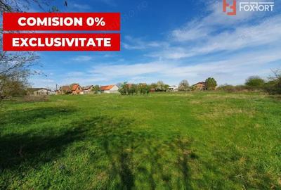 Comision 0% Teren intravilan 3000 mp in Padureni Jebel - 6