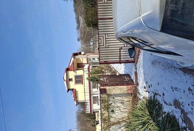 Fara agentii Gaiseanca com CrevediaMare jud Giurgiu - 4