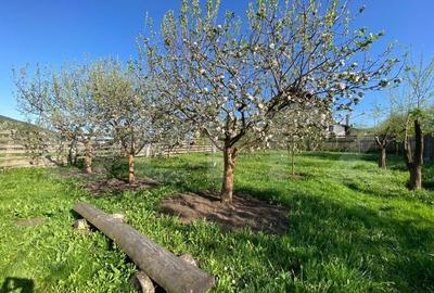 Casa de vanzare in Baciu, Mera – liniste, spatiu si natura la doar 13 km de oras - 7