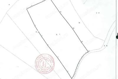 Teren de 6311 mp, în Rona de Sus - 7