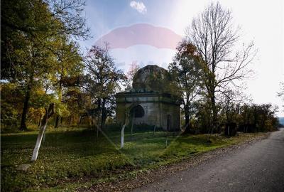 Domeniu Baronial de vanzare in localitatea CIL , Judet Arad - 6