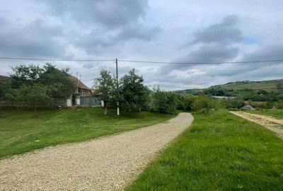 Casă cu Teren 2472 Mp în Burzuc