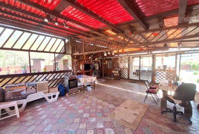 Casa de Vacanta - Un Colt de Rai , Stefanesti-Arges - 19