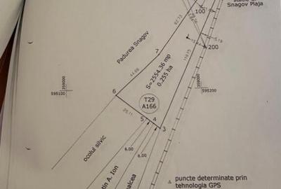 Teren cu deschidere la Padurea Snagov- Gruiu - 1