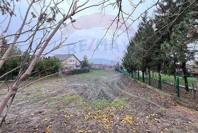 Teren intravilan de 1427 mp, în Nord-Est - 6