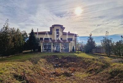 VANZARE VILA | HALA IN VLADICEASCA | SNAGOV | 10.500 MP TEREN - 7