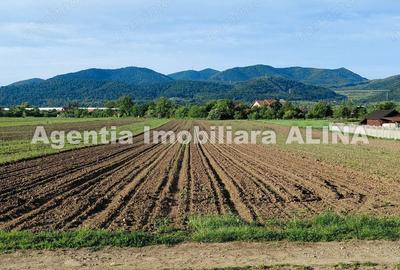 Teren de 4094 mp, în Șoimuș - 5