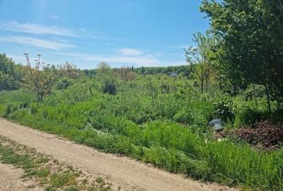 Teren de 1383 mp, în Bolintin-Deal - 3