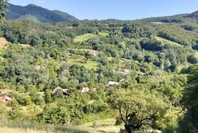 Spațiu comercial, în Poiana Ampoiului - 3