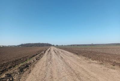Teren Construcții intravilan de 500 mp, în Ordoreanu - 1