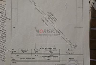 Terenuri Domnesti - 500mp -> 4 Ha - 9