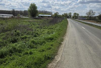 Spațiu comercial, în Dunărea - 4