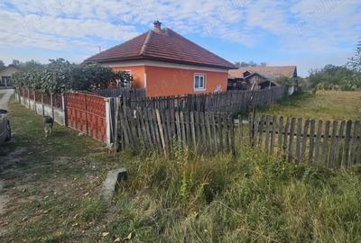 Casa de vanzare si teren - 2