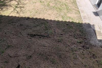 Casă cu 4 camere cu Teren 300 Mp în Florești