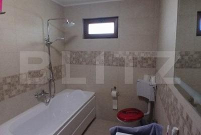 Casa superba in Tinca, 225 mp, 20 ari luciu de apa, teren fotbal, spatii verzi - 12