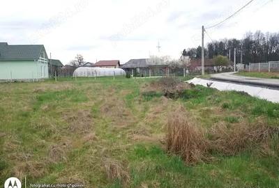 Teren de 844 mp, în Lăpuș - 5