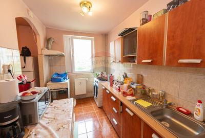 Apartament 3 camere de vanzare, Drumul Taberei, langa Parc Moghioros - 9