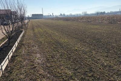 Spațiu comercial, în Stupini - 1