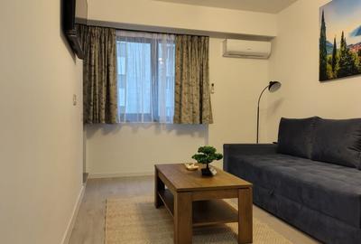 De inchiriat Garsoniera Ansamblul Rezidential Novum Bd. Timisoara 56 - 2