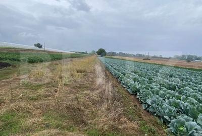Teren de 4700 mp, în Băleni - 1