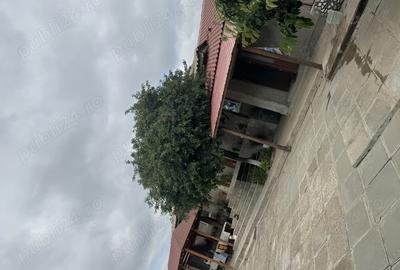 Vand casa in Ceamurlia de sus - 6