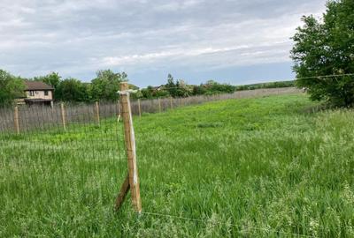 Teren cu Autorizatie, Utilitati, Asfalt, zona Paradisul Verde Teren cu Autorizatie, Utilitati, Asfalt, zona Paradisul Verde - 9