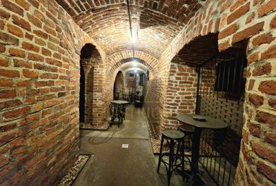 Spațiu comercial 400mp vad bun | Piața Unirii I Ultracentral - 11