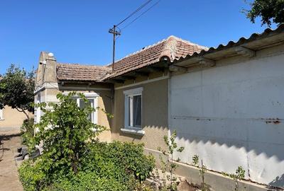 Teren Construcții intravilan de 3000 mp, în Lumina - 4