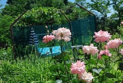 Casă individuală cu 2 camere cu Teren 1400 Mp în Ștefănești - 11