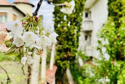 Apartament cu 4 camere decomandat, mobilat în Andrei Mureșanu - 44