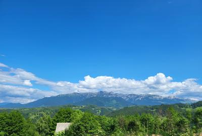 Teren Construcții intravilan de 30000 mp, în Moieciu de Jos - 3