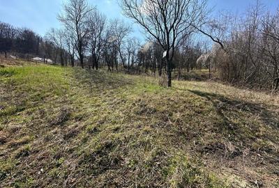 Teren de 828 mp, în Curăturile - 2