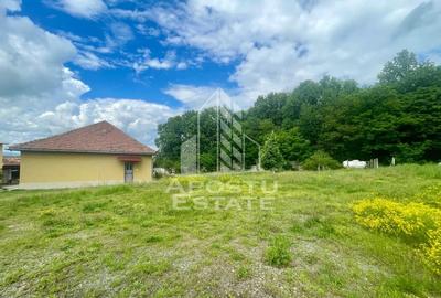 Spatii productie si depozitare, zona Sebis - Prunisor-Carand - 16