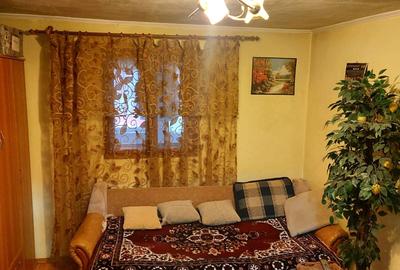 Casa de vanzare Cîmpineanca (2010) - 10