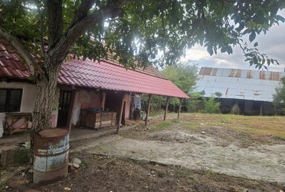 Casă cu 4 camere în Podari - 1