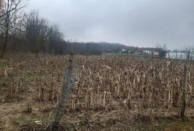 Casă cu 2 camere cu Teren 5 Mp în Zegujani - 2