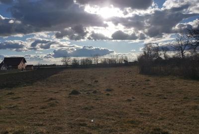 Teren agricol intravilan de 5530 mp, în Ștefăneștii Noi