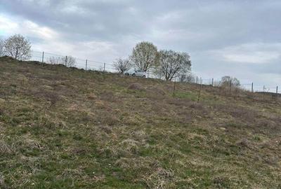 Spațiu comercial, în Vlădeni - 5