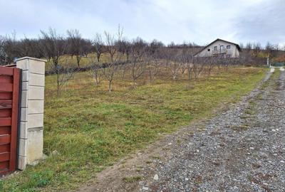 Spațiu comercial, în Dezmir - 3