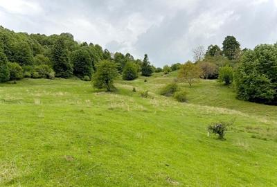 Teren de vanzare Breaza – Nistoresti, Str. Muresului - 8