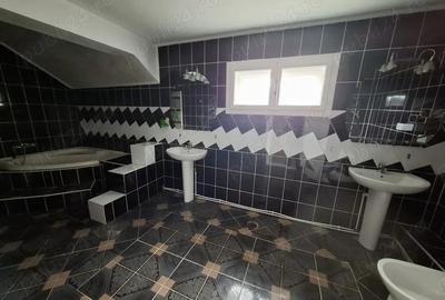 Casă cu 4 camere cu Teren 780 Mp în Valea Borcutului