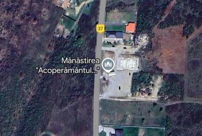 Teren intravilan -700 mp in Paleu, Bihor- intre padure si lac, cu PUZ aprobat - 5