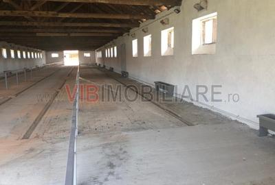 Ferma complet utilată – 30 ha teren comasat cu 11.500mp grajduri renovate Tim - 11