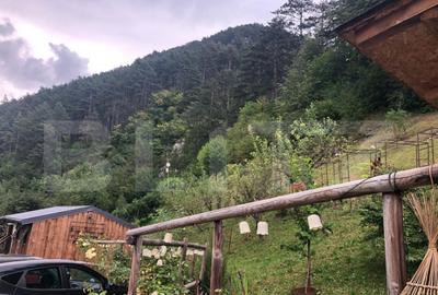 De vanzare teren intravilan in zona Schei (+cabana) De vanzare teren intravilan in zona Schei (+cabana) - 17