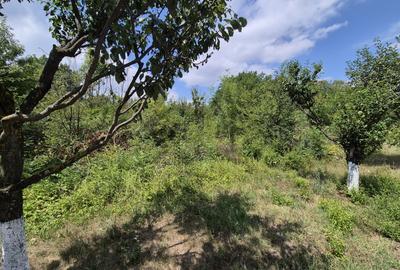 Teren de inchiriat – Voluntari, Strada Popasului - 5