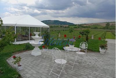 Casa 3 camere + plantatie de zmeura, 200 mp, Fodora, Cluj - 3