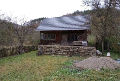 Casuta la munte - 10