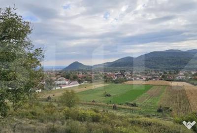 Casă cu 7 camere cu Canalizare în Șoimuș - 3