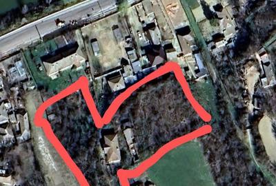 Spațiu comercial, în Rasova - 4