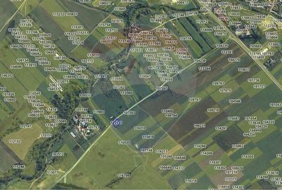 Teren agricol extravilan de 1650 mp, în Șelimbăr - 2